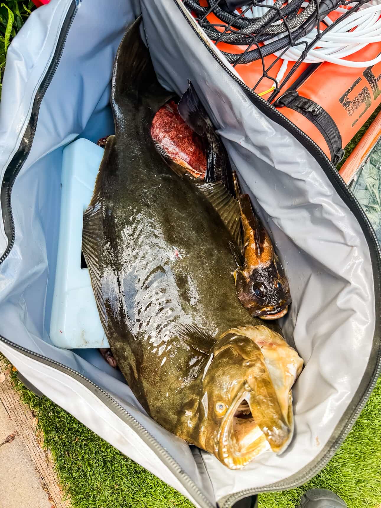 45QT Flat Bottom Fish Bag
